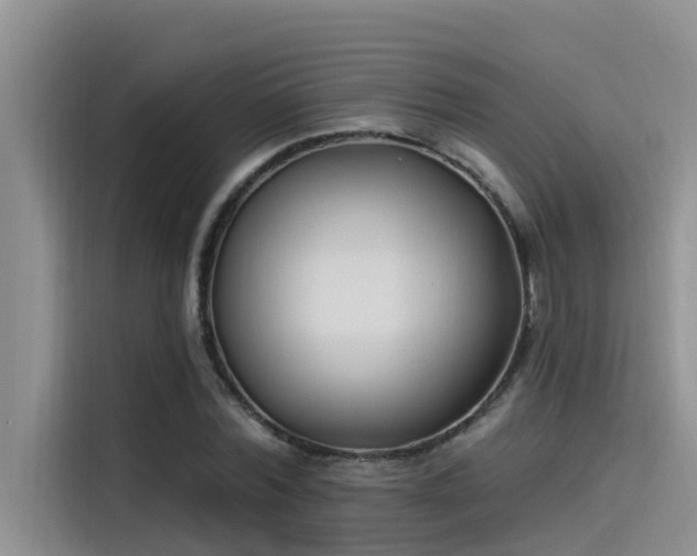 X0000115520780200911131444