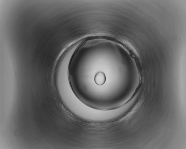 X0000115520781200911131444