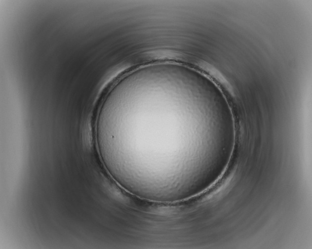 X0000115520782200911131444