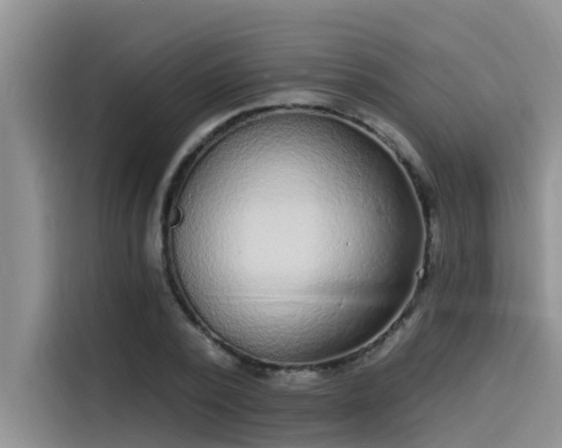 X0000115520784200911131444