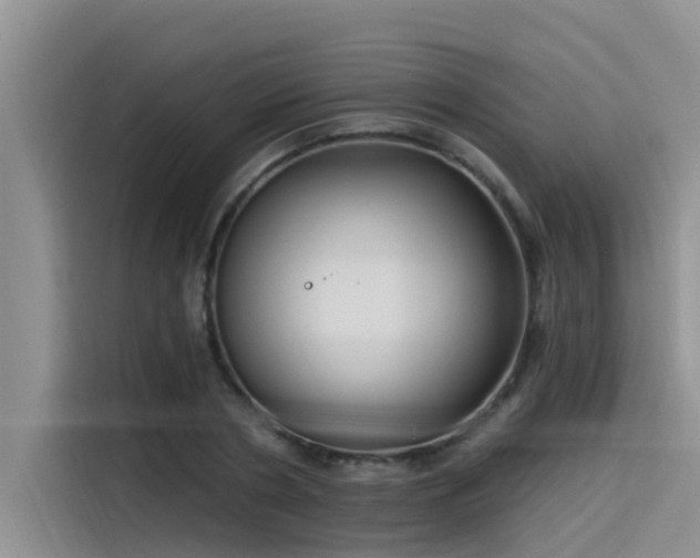 X0000115520786200911131444