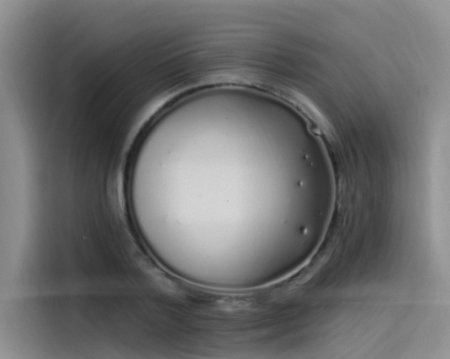 X0000115520788200911131444