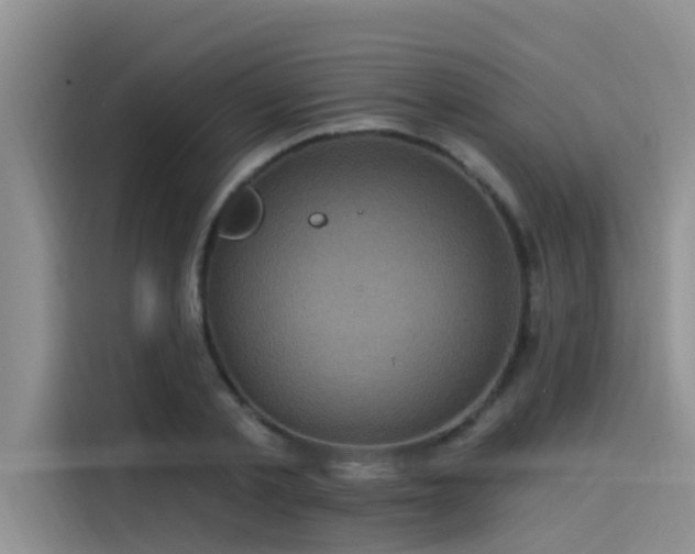 X0000115520789200911131444