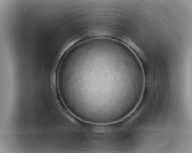 X0000115520790200911131444