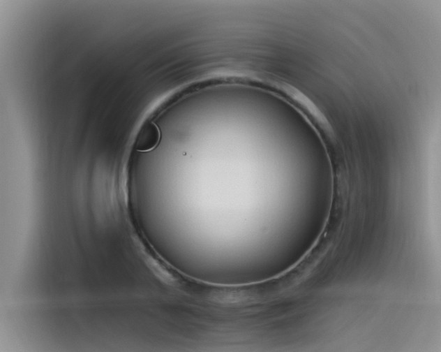 X0000115520791200911131444