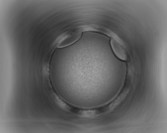 X0000115520793200911131444