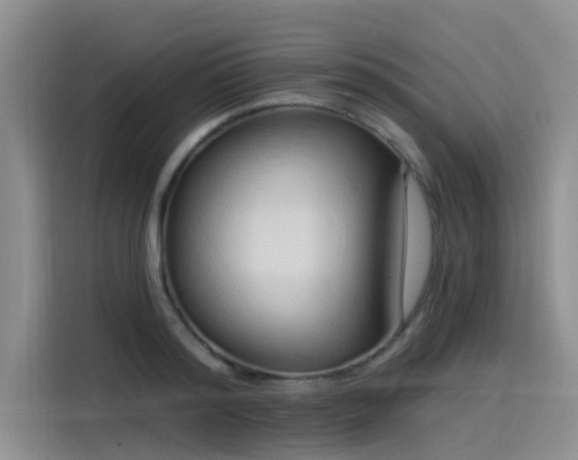 X0000115520796200911131444