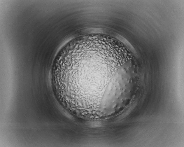 X0000115520798200911131444