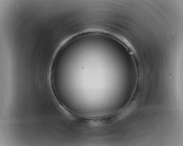 X0000115520799200911131444