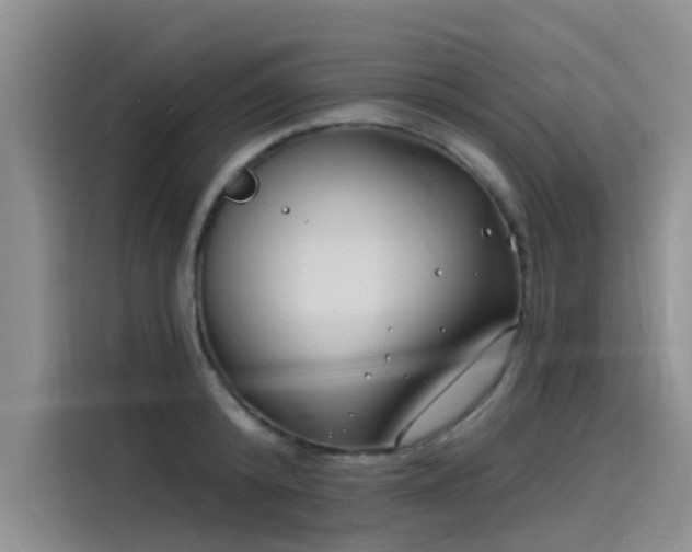 X0000115520800200911131444