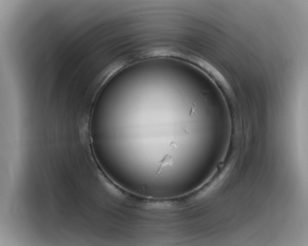 X0000115520801200911131444