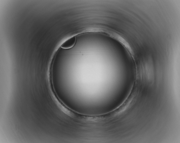 X0000115520803200911131444