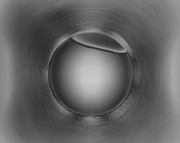 X0000115520805200911131444