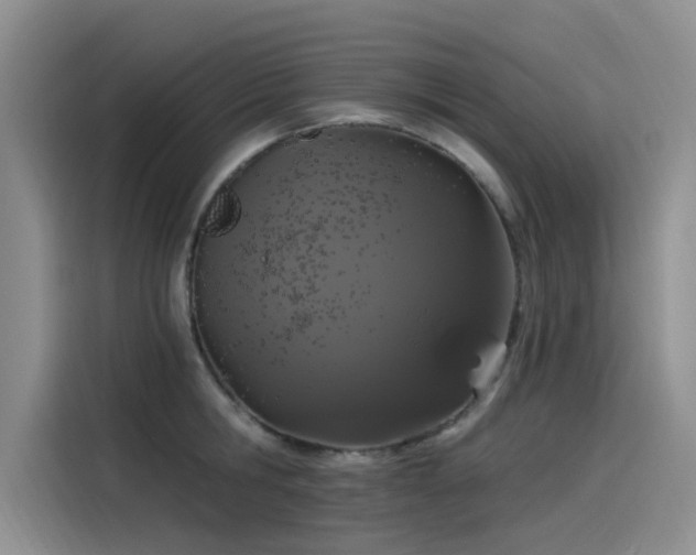 X0000115520806200911131444