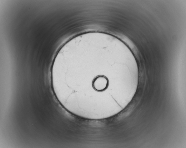 X0000115520807200911131444