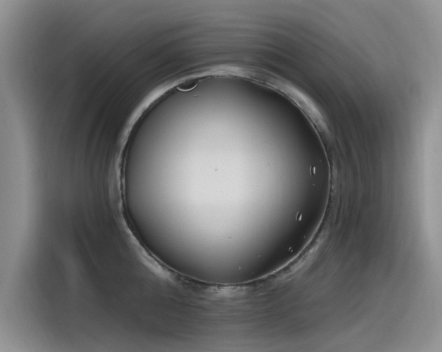 X0000115520808200911131444