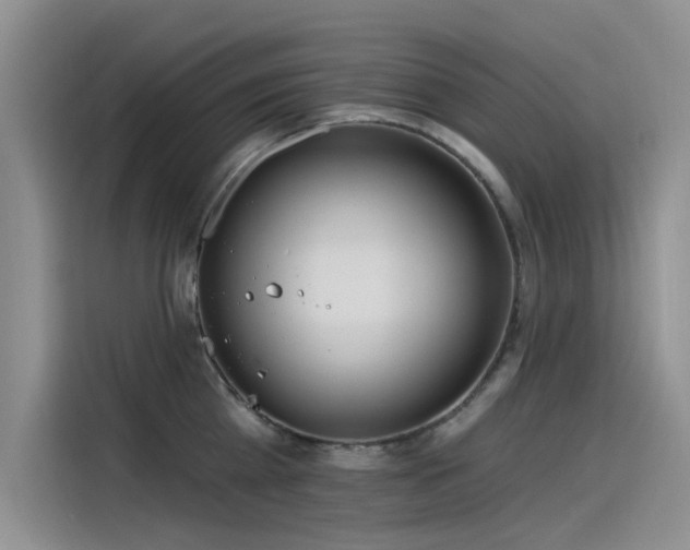 X0000115520809200911131444