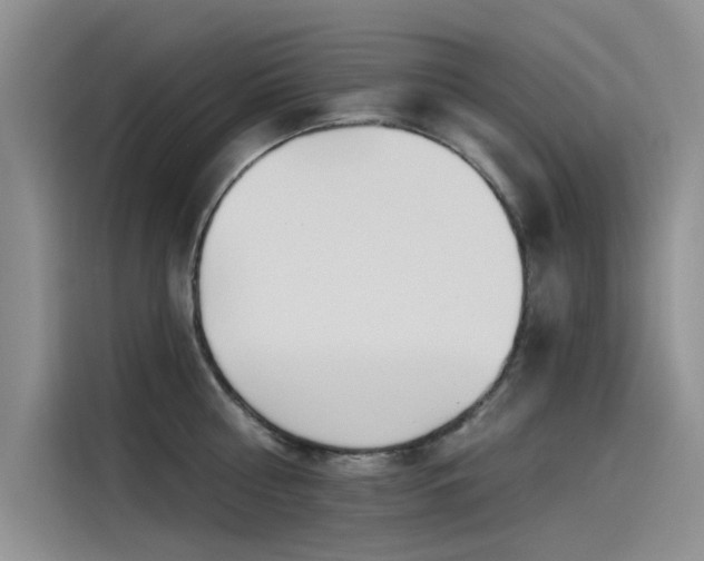 X0000115520810200911131444