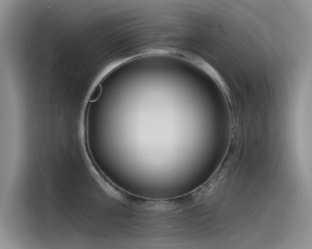 X0000115520811200911131444