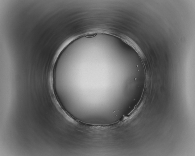 X0000115520812200911131444