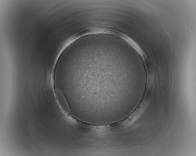 X0000115520813200911131444