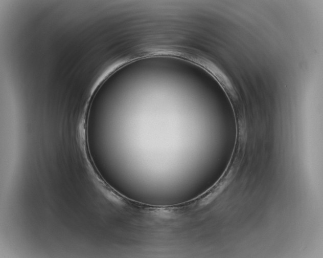 X0000115520814200911131444