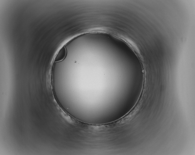 X0000115520816200911131444