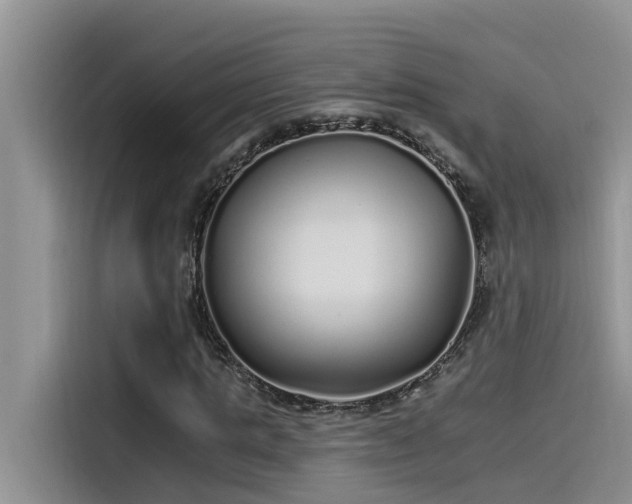 X0000115520821200911131443