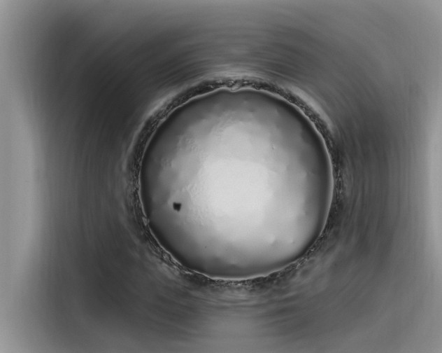 X0000115520823200911131443