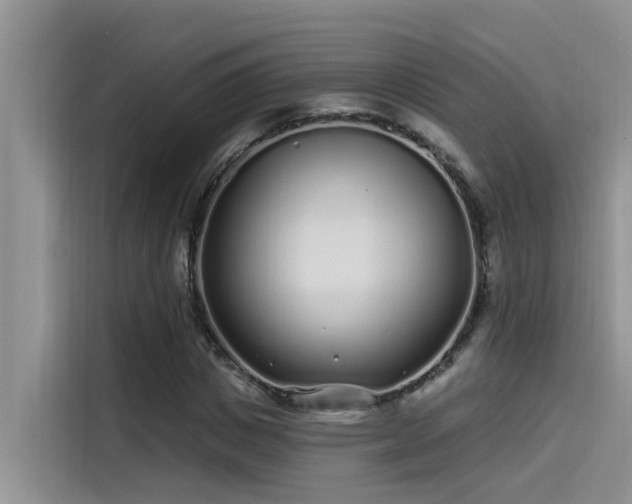 X0000115520825200911131443