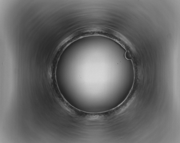 X0000115520826200911131443