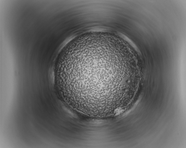 X0000115520829200911131443