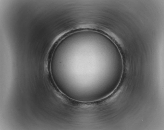 X0000115520830200911131443