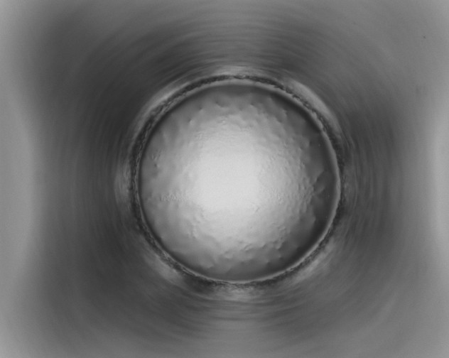 X0000115520831200911131443