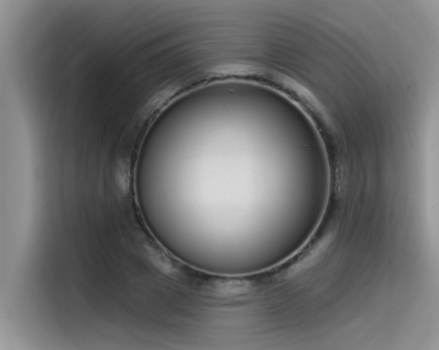 X0000115520833200911131443