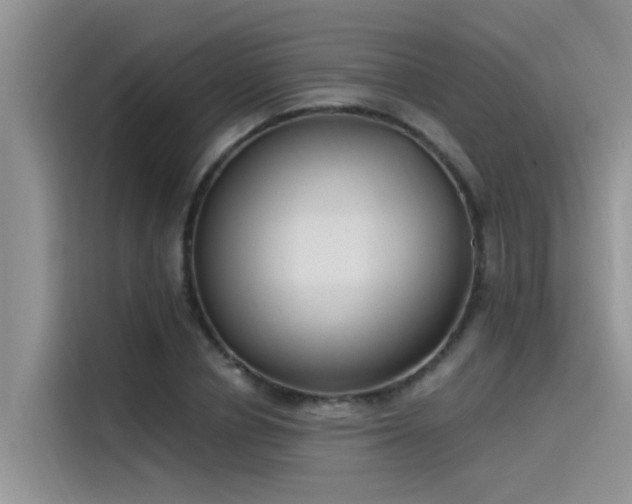 X0000115520834200911131443