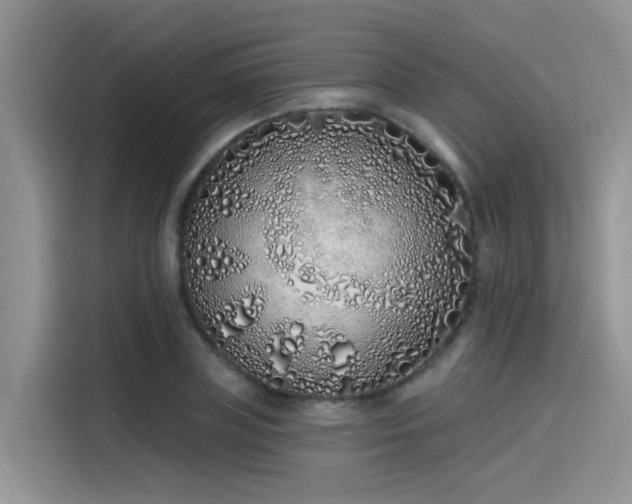 X0000115520835200911131443