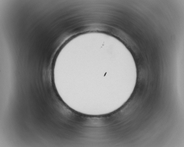 X0000115520836200911131443