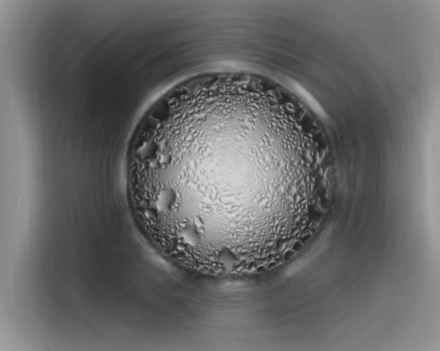 X0000115520839200911131443