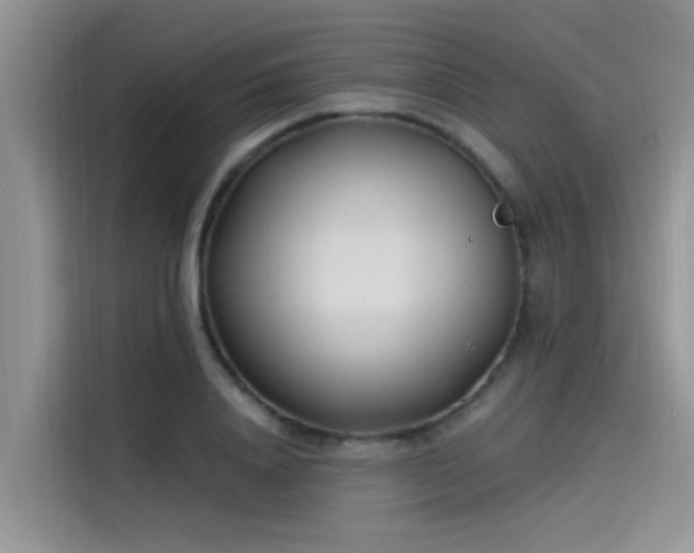 X0000115520840200911131443