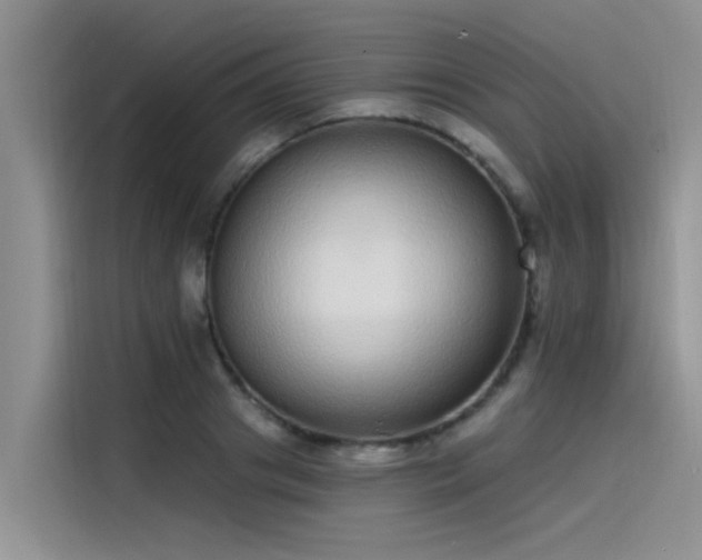 X0000115520841200911131444