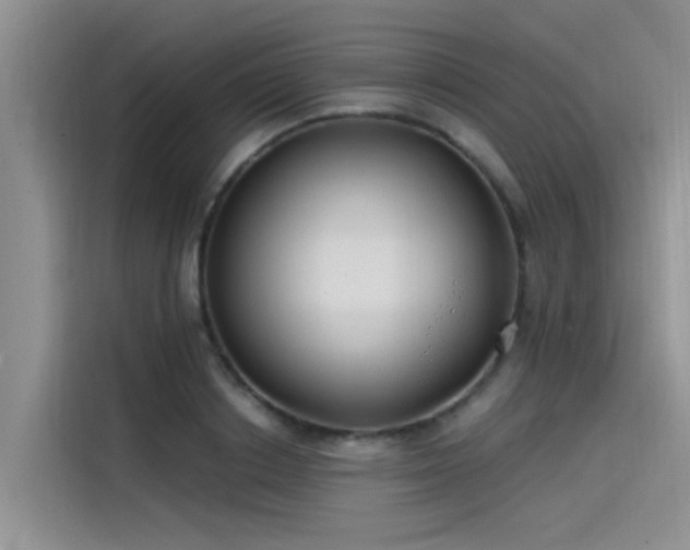 X0000115520842200911131444