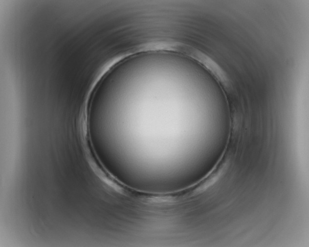 X0000115520844200911131444