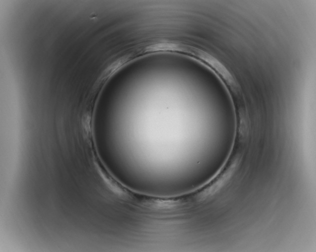 X0000115520849200911131444