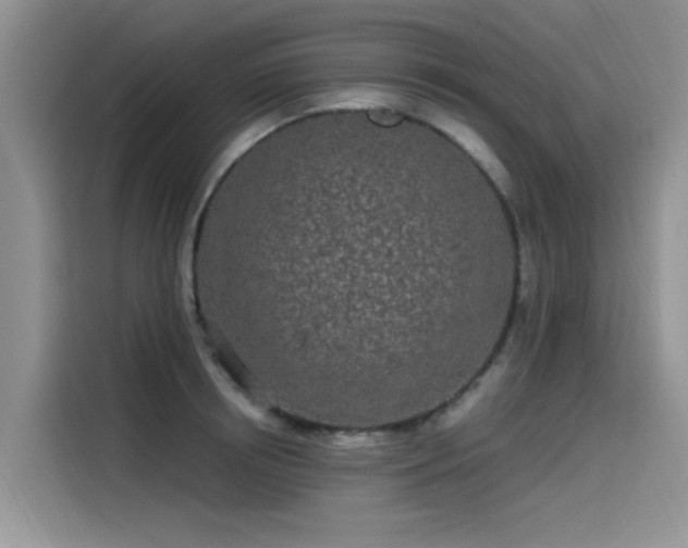 X0000115520850200911131444