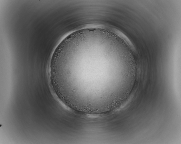 X0000115520852200911131444