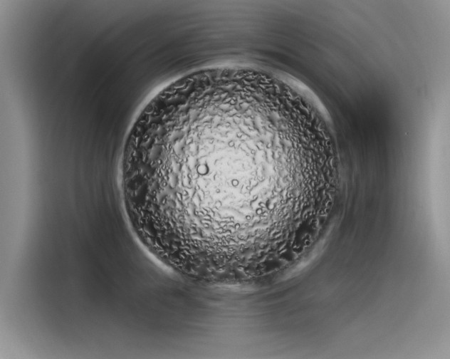 X0000115520855200911131444