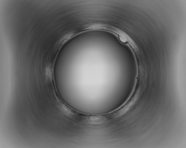 X0000115520857200911131444