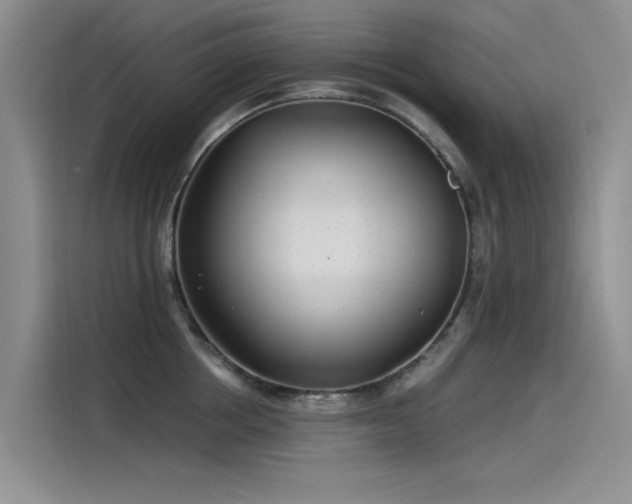 X0000115520858200911131444