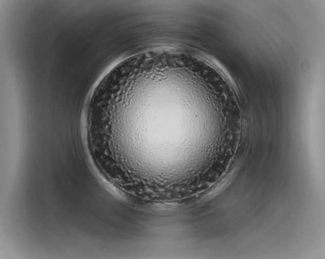 X0000115520859200911131444